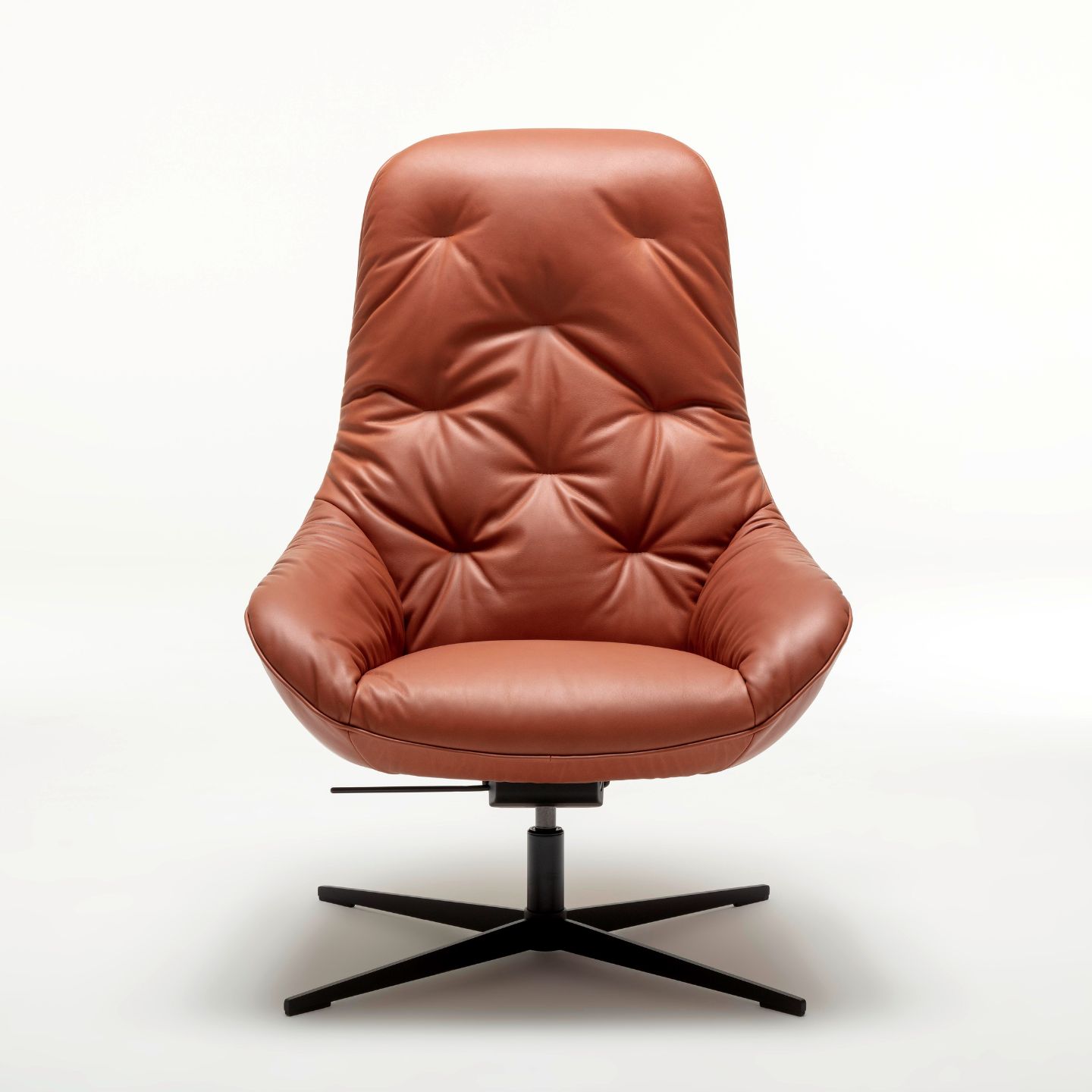 Rolf Benz MEG soft Leder braun von vorne