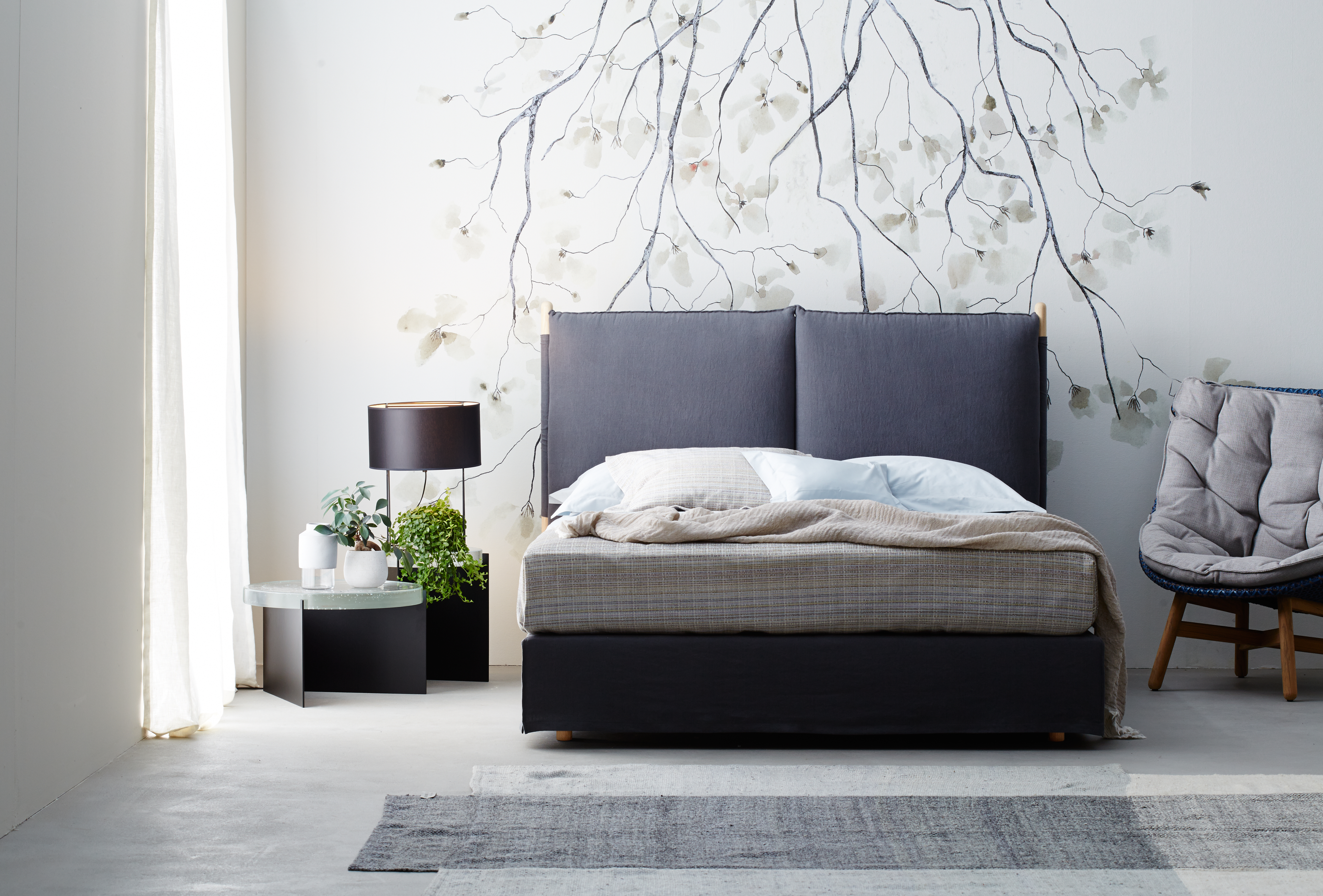 Schramm Purebeds Someday Malve