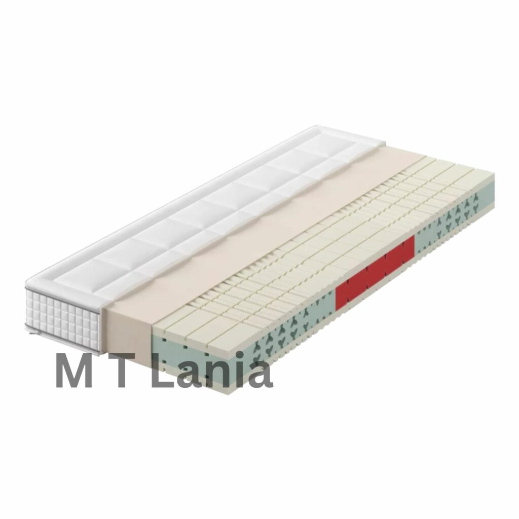 Werkmeister M T Lania L